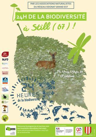 24h de la Biodiversité à Still