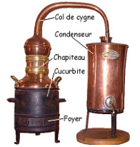 Journée de distillation participative